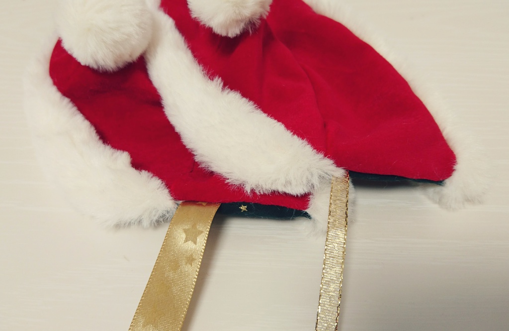 もちマス衣装・サンタ