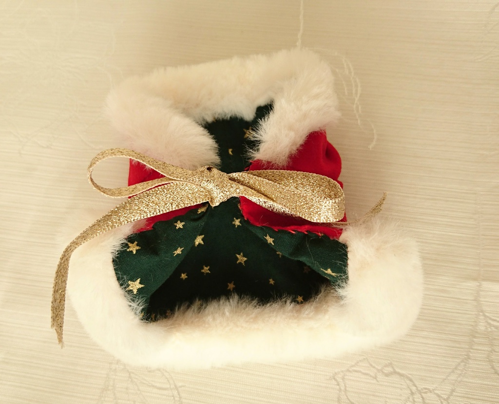 もちマス衣装・サンタ