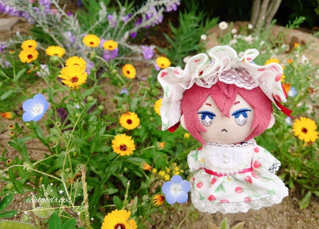 いちごワンピース 10cmぬい用