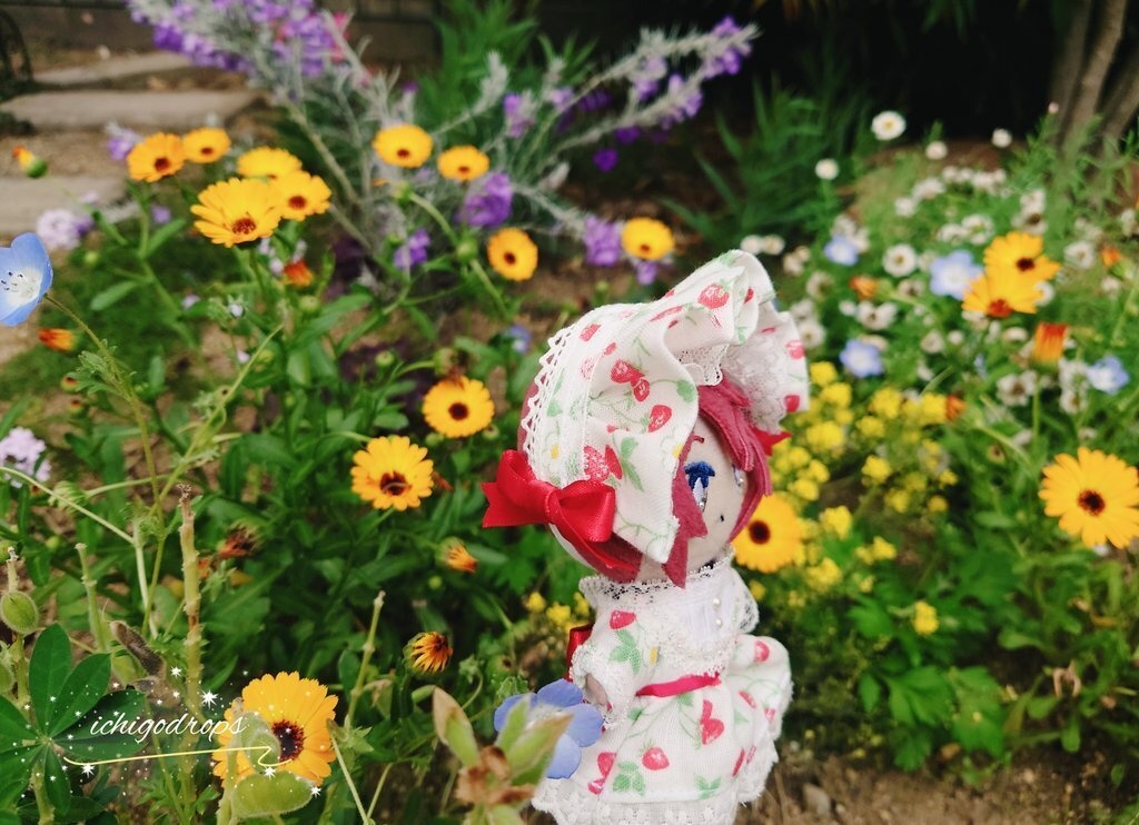 いちごワンピース 10cmぬい用