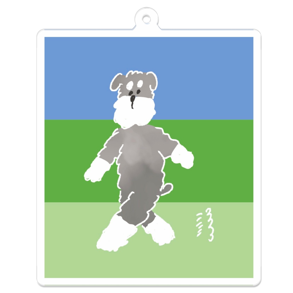 テクテクお散歩シュナウザー🐾