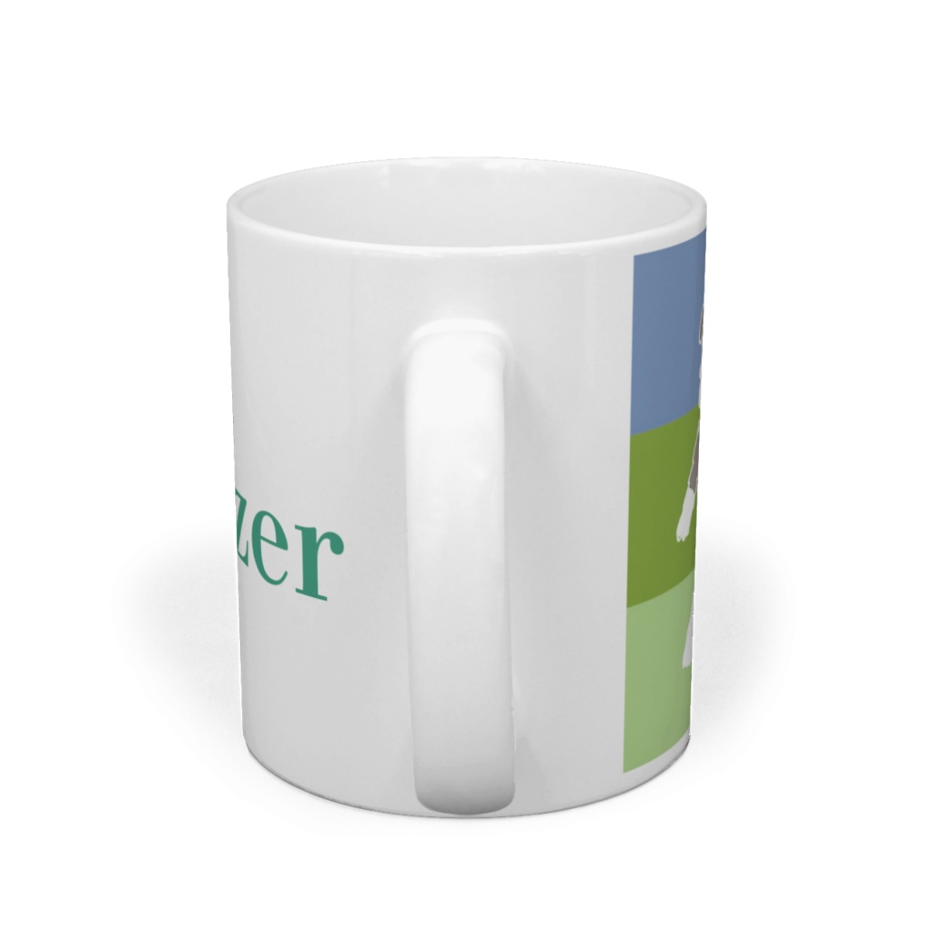 テクテクお散歩シュナウザー🐾