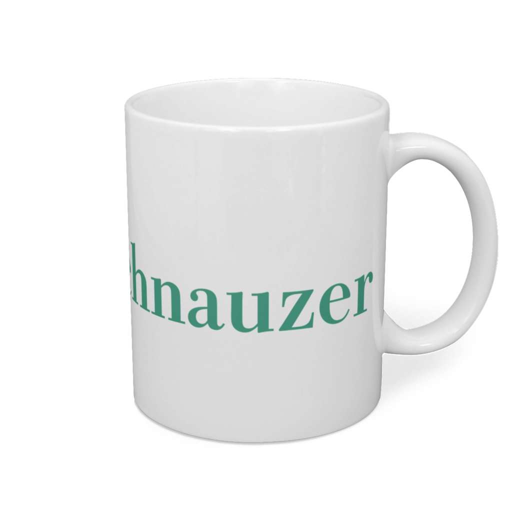 テクテクお散歩シュナウザー🐾