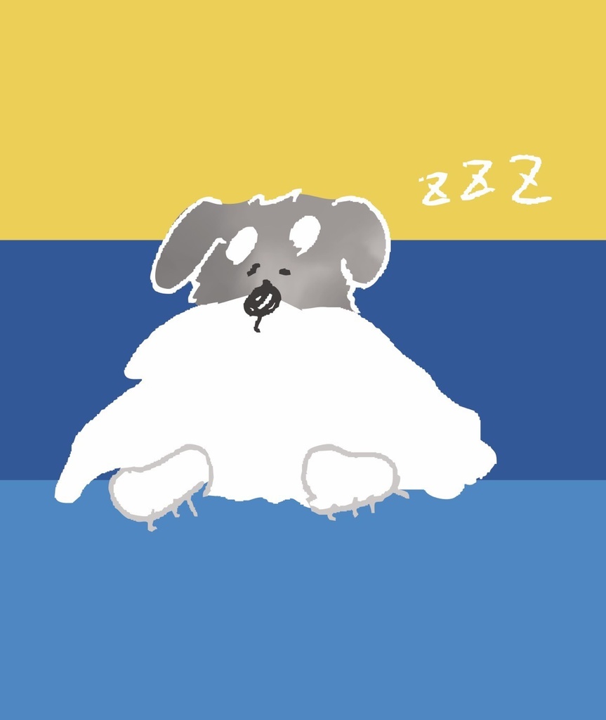 寝るのが大好きシュナウザー🐾