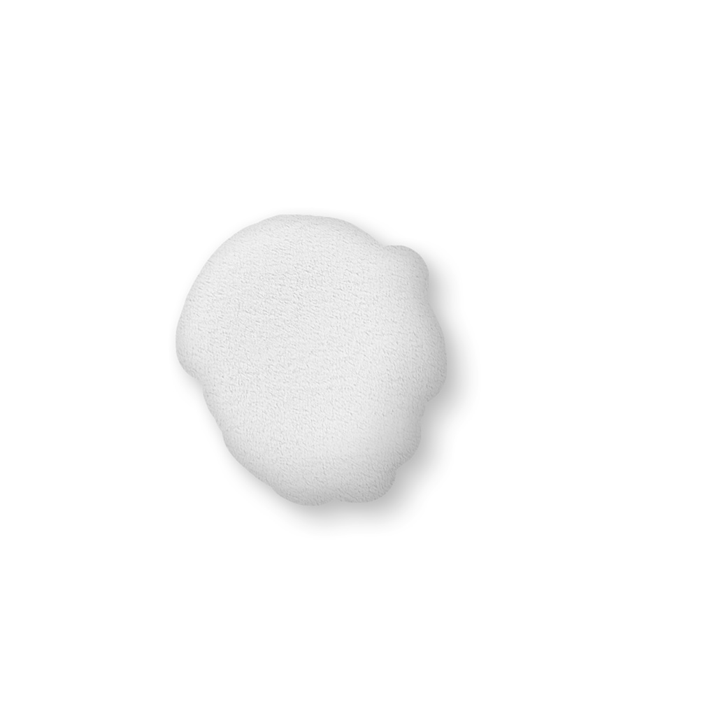 ふわふわふかふかのカロンちゃん