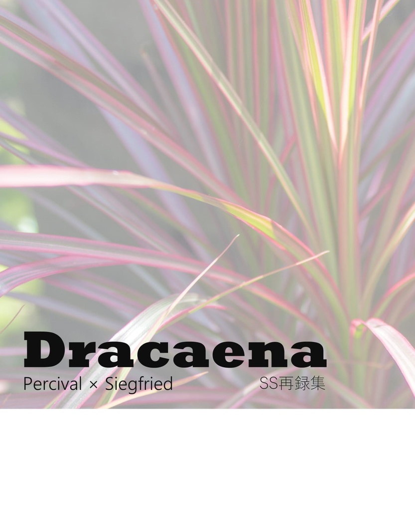 Dracaena