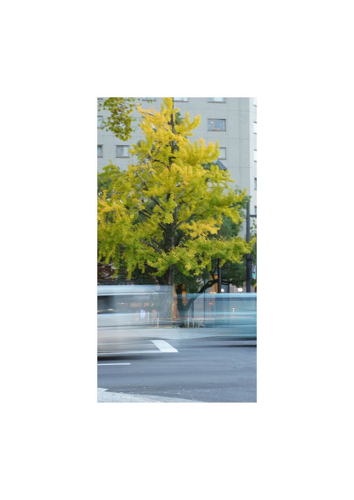 写真集「サヨナラ・コンニチハ」