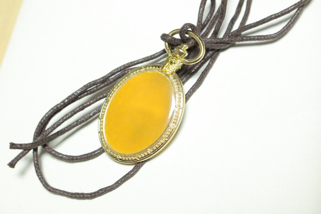 獣の国イメージ ペンダント