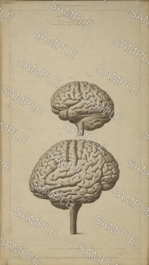 【AI背景画像セット 22枚】抽象背景|心理・雑学・恋愛・ニュース系動画向け|1080×1920|1920×1080|関連動画:“自分にだけ厳しい人”が抱える痛み【心理学雑学10選】