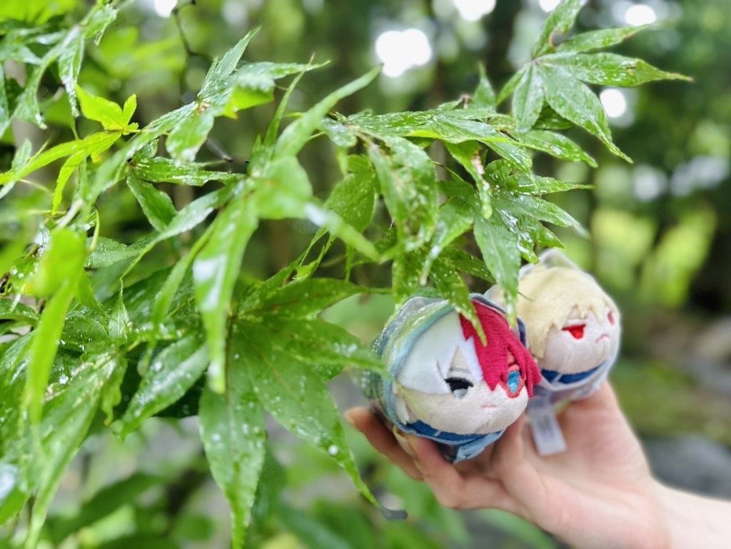 きらきらレインコート