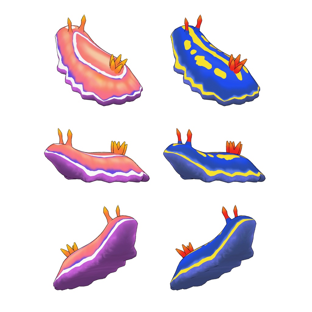 ウミウシの3Dモデル