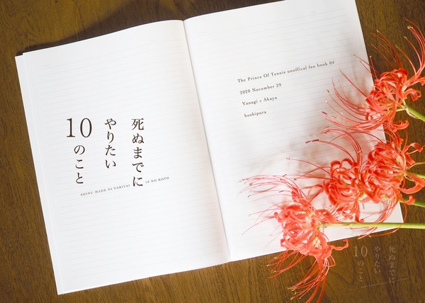 【柳赤】死ぬまでにやりたい10のこと