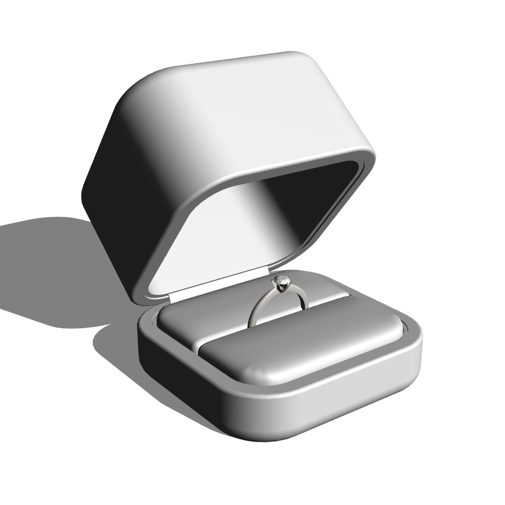 【3Dモデルデータ】ケース付きの婚約指輪【3D model engagement ring】