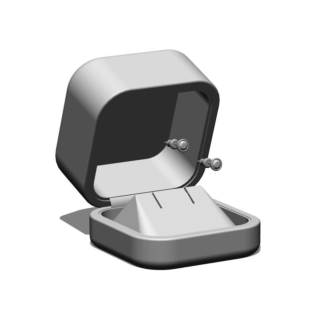 【3Dモデルデータ】ピアス2 : ケース付き(フクリン)【Pierced earrings (with case)】