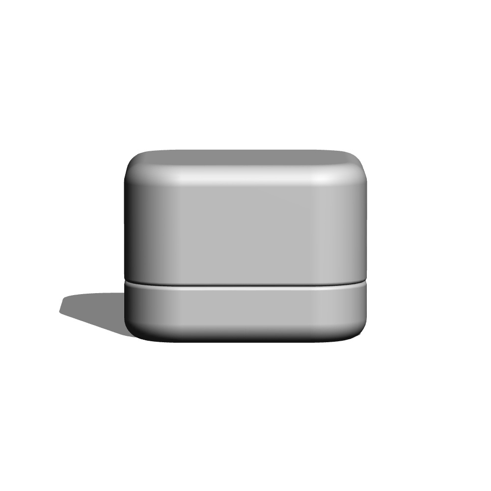 【3Dモデルデータ】ピアス2 : ケース付き(フクリン)【Pierced earrings (with case)】