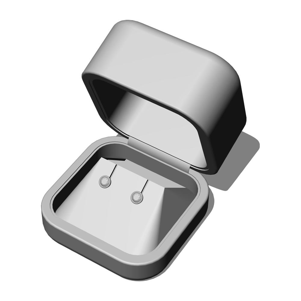 【3Dモデルデータ】ピアス2 : ケース付き(フクリン)【Pierced earrings (with case)】