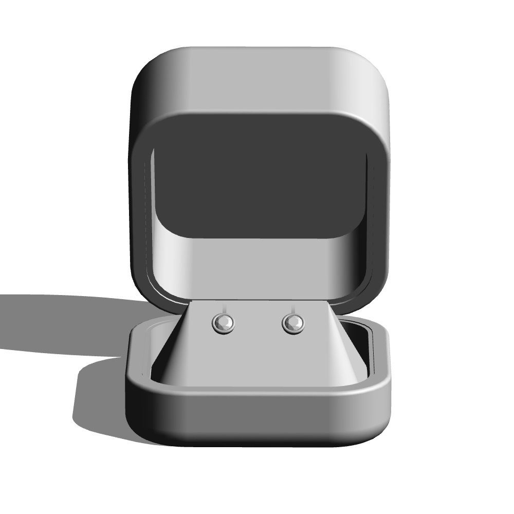 【3Dモデルデータ】ピアス2 : ケース付き(フクリン)【Pierced earrings (with case)】