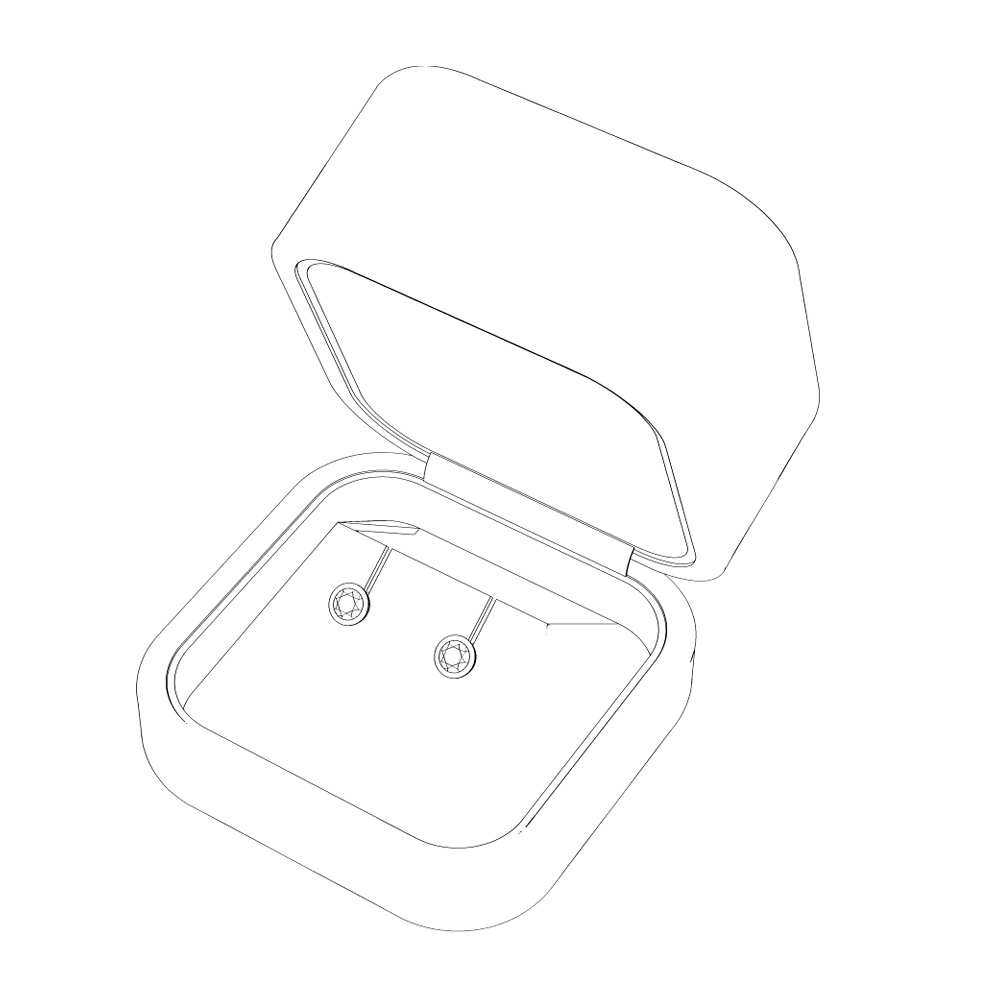 【3Dモデルデータ】ピアス2 : ケース付き(フクリン)【Pierced earrings (with case)】