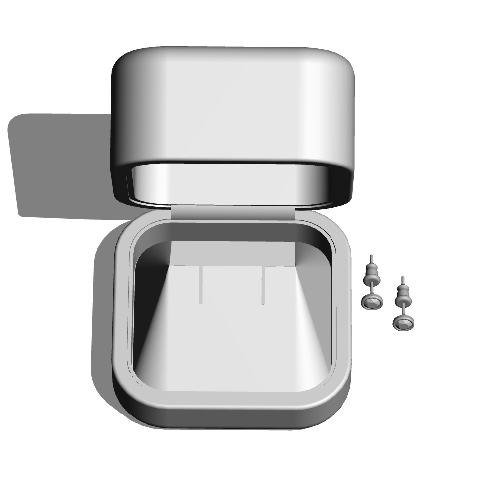 【3Dモデルデータ】ピアス2 : ケース付き(フクリン)【Pierced earrings (with case)】