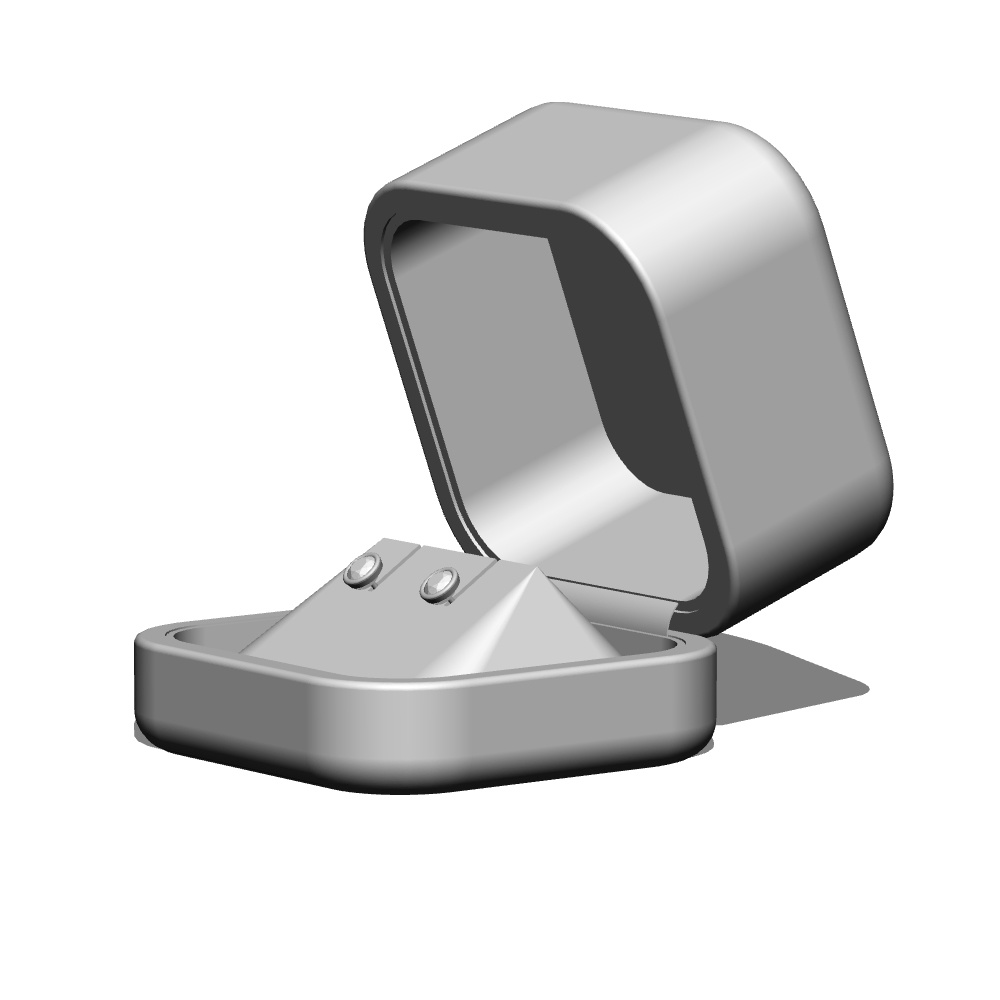 【3Dモデルデータ】ピアス2 : ケース付き(フクリン)【Pierced earrings (with case)】