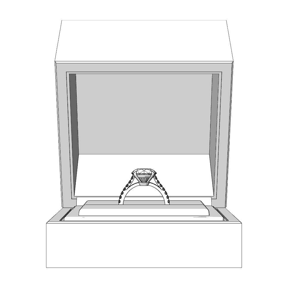 【3Dモデルデータ】リング10 : ケース付きの婚約指輪ラウンドブリリアントカット2ctアップ・メレの腕【3D model engagement ring】