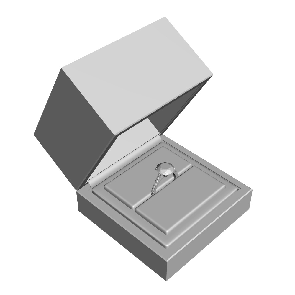 【3Dモデルデータ】リング10 : ケース付きの婚約指輪ラウンドブリリアントカット2ctアップ・メレの腕【3D model engagement ring】