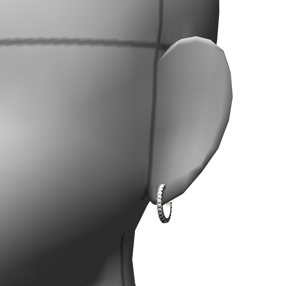 【3Dモデルデータ】ピアス4【Pierced earrings】