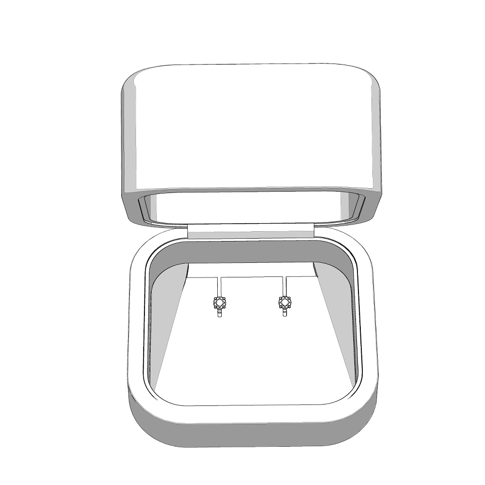 【3Dモデルデータ】ピアス5: ケース付き(4つ爪)【Pierced earrings (with case)】