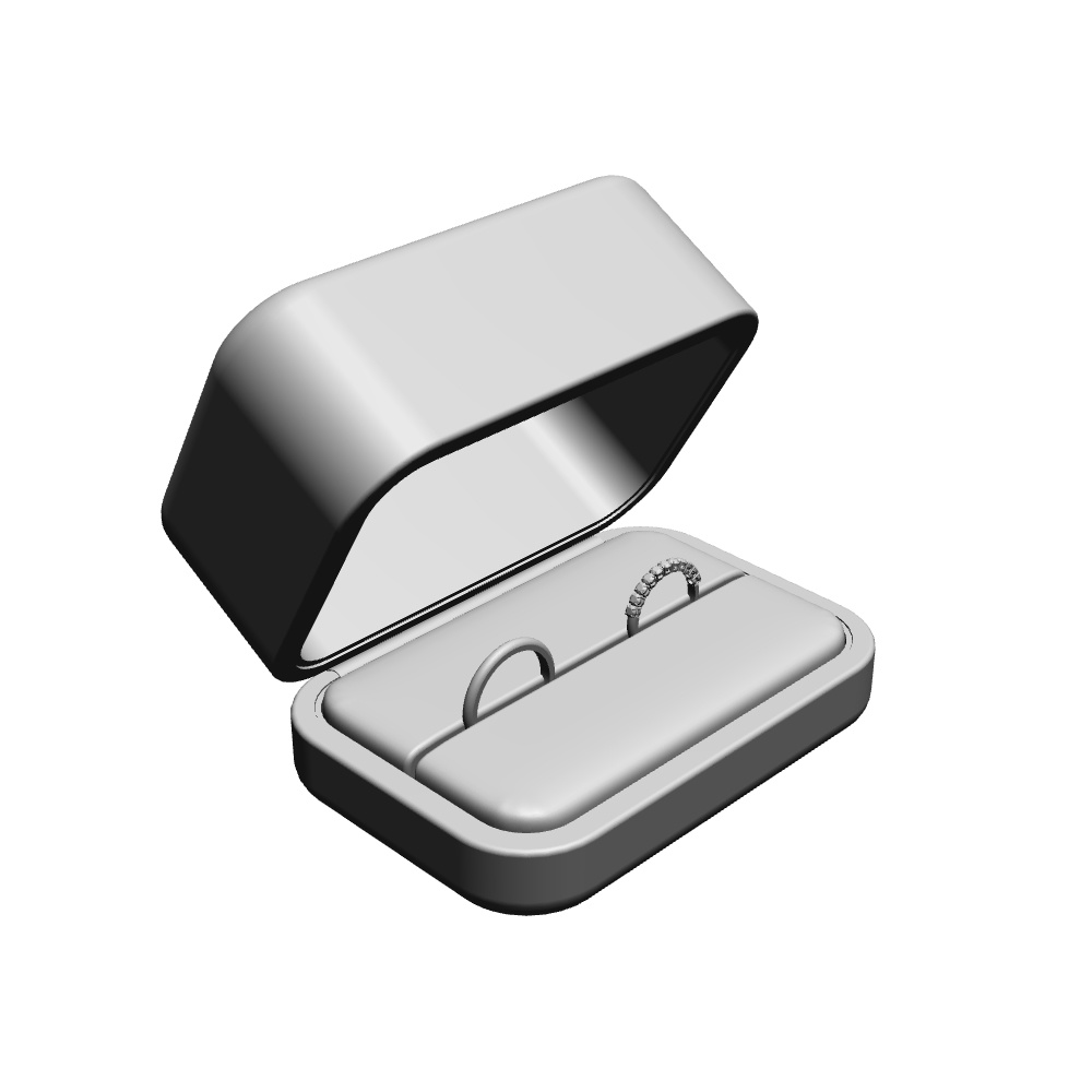 【3Dモデルデータ】リング20 : ケース付きのペアリング(ハーフエタニティリング+甲丸)【3Dmodel deta partnerring20】