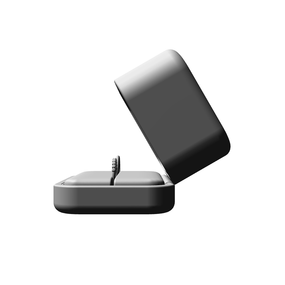 【3Dモデルデータ】リング20 : ケース付きのペアリング(ハーフエタニティリング+甲丸)【3Dmodel deta partnerring20】