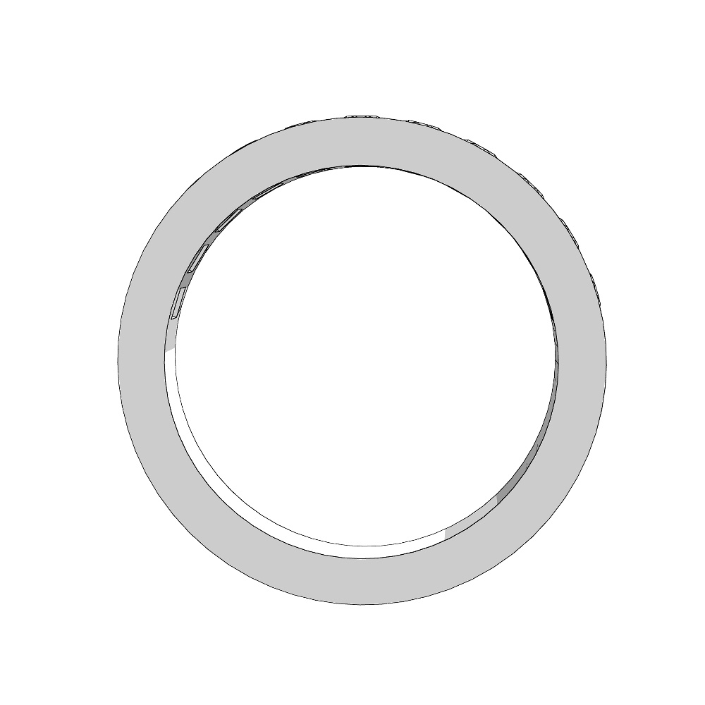 【3Dモデルデータ】リング21 : ケース付きのペアリング(レール留めのハーフエタニティ+平打ち)【3Dmodel deta partnerring21】