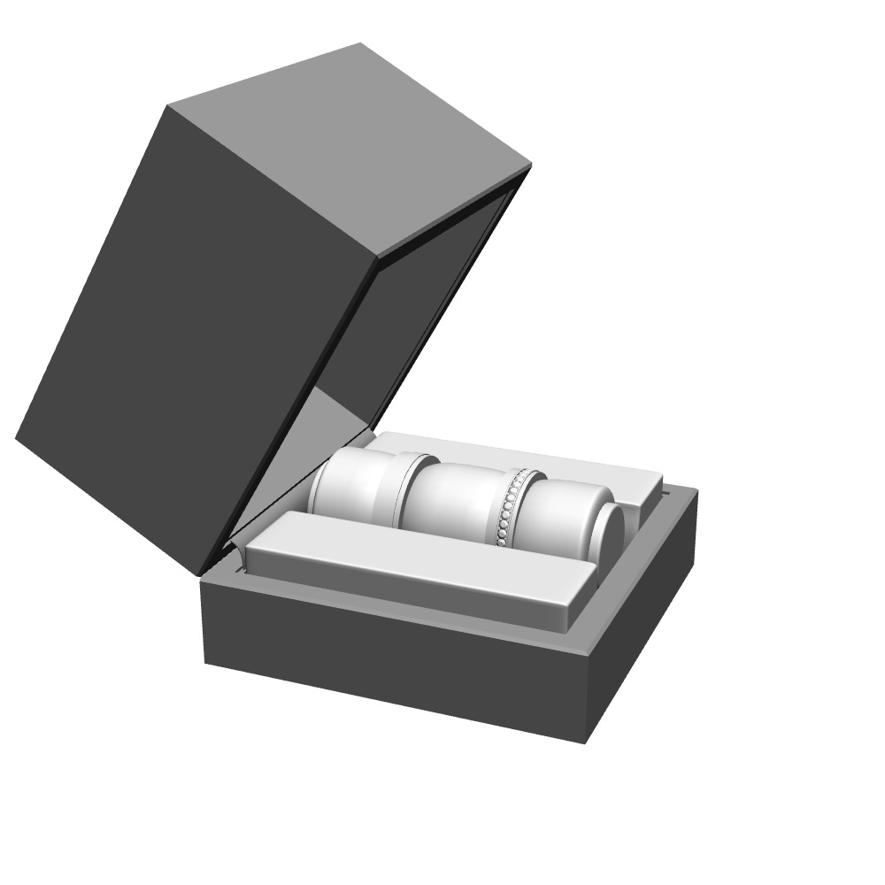 【3Dモデルデータ】リング22 : ケース付きのペアリング【3Dmodel deta partnerring22】