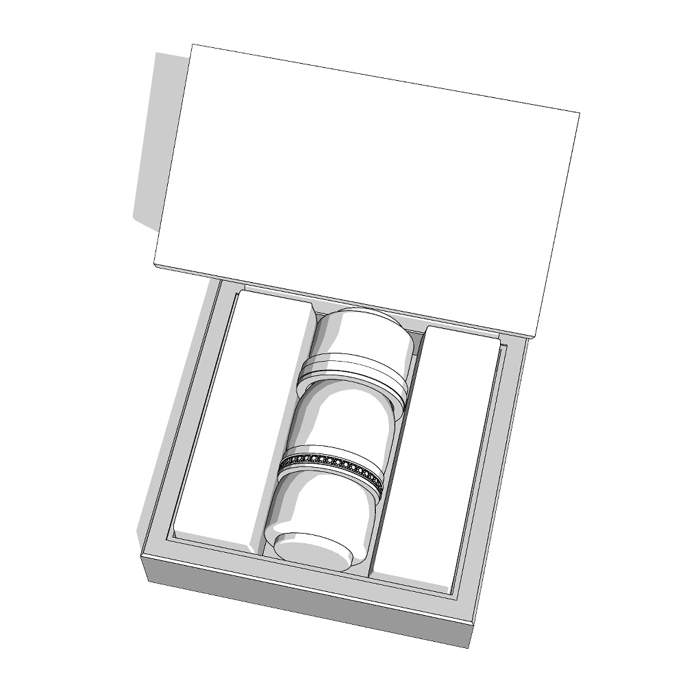 【3Dモデルデータ】リング22 : ケース付きのペアリング【3Dmodel deta partnerring22】