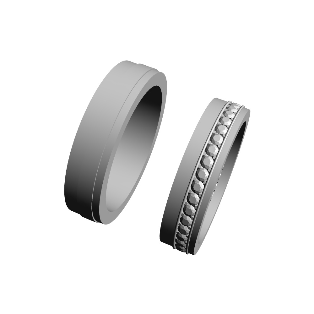 【3Dモデルデータ】リング22 : ケース付きのペアリング【3Dmodel deta partnerring22】