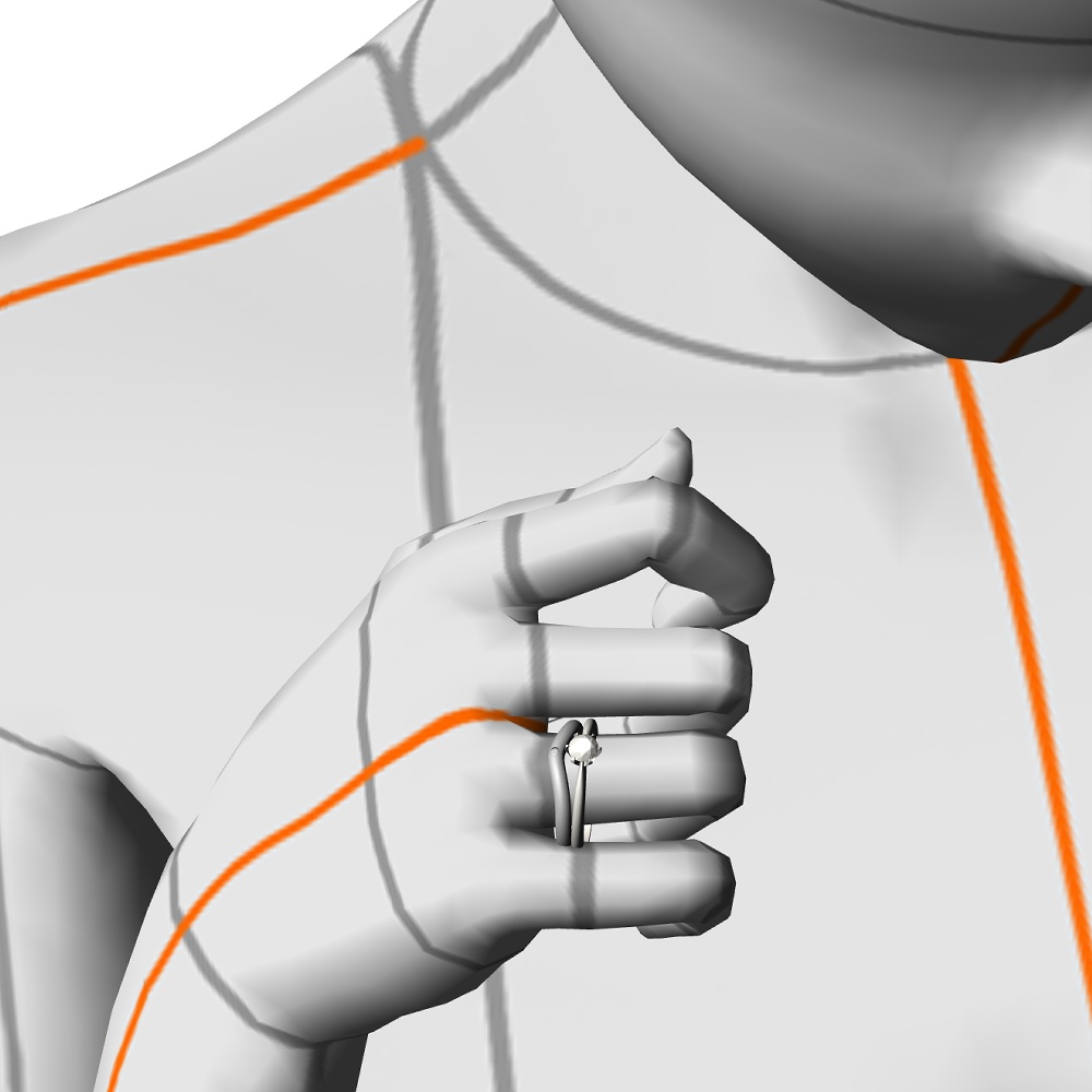 【3Dモデルデータ】リング37 : ケース付きのペアリング【3Dmodel deta partnerring21】