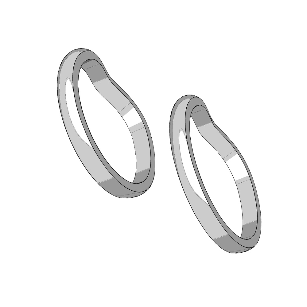 【3Dモデルデータ】リング37 : ケース付きのペアリング【3Dmodel deta partnerring21】