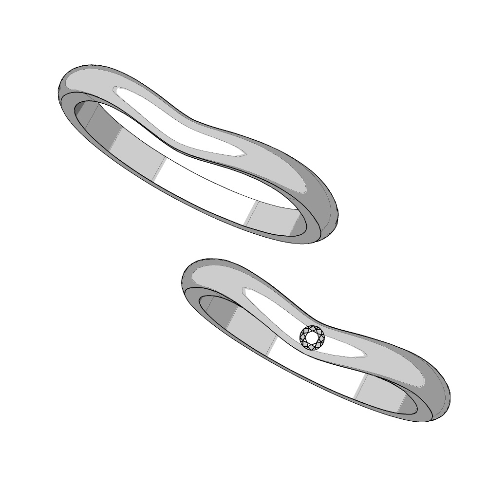 【3Dモデルデータ】リング37 : ケース付きのペアリング【3Dmodel deta partnerring21】