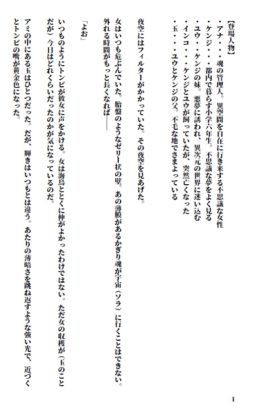 アナの物語1.カフス 異次元からSoraに帰るとき1-2