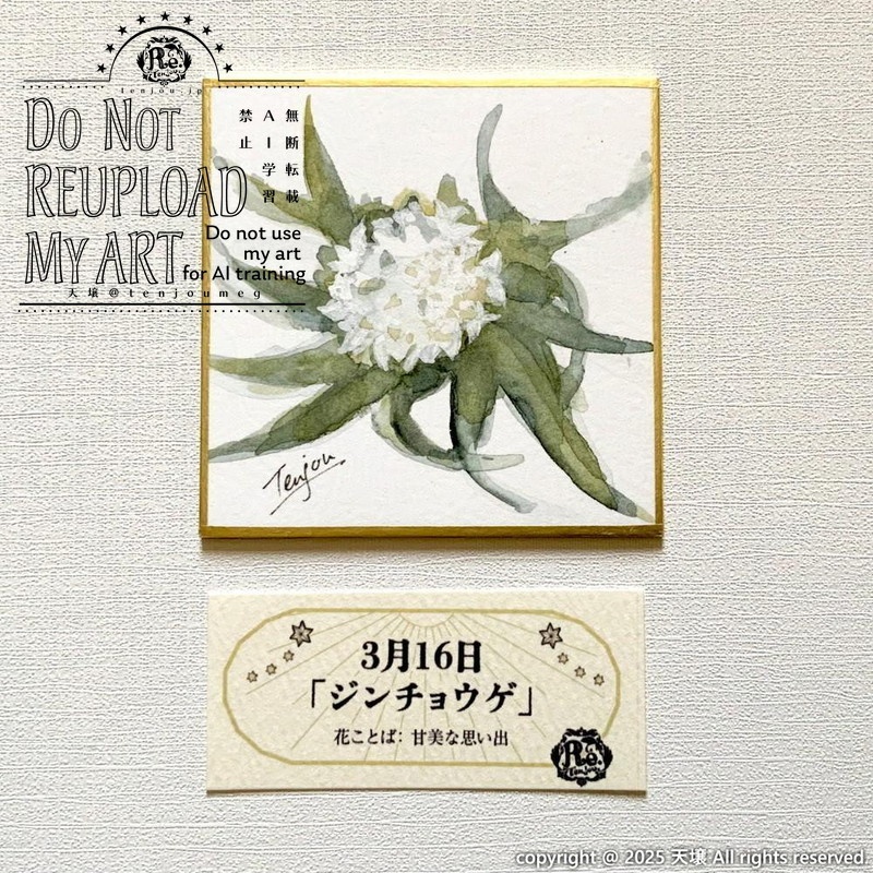 【原画】誕生花3月13日~18日