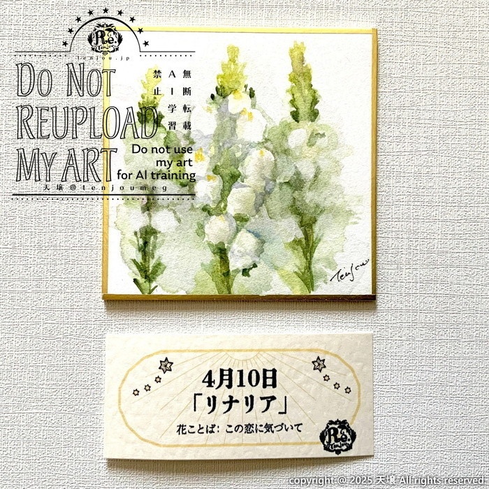 【原画】誕生花4月6日~11日