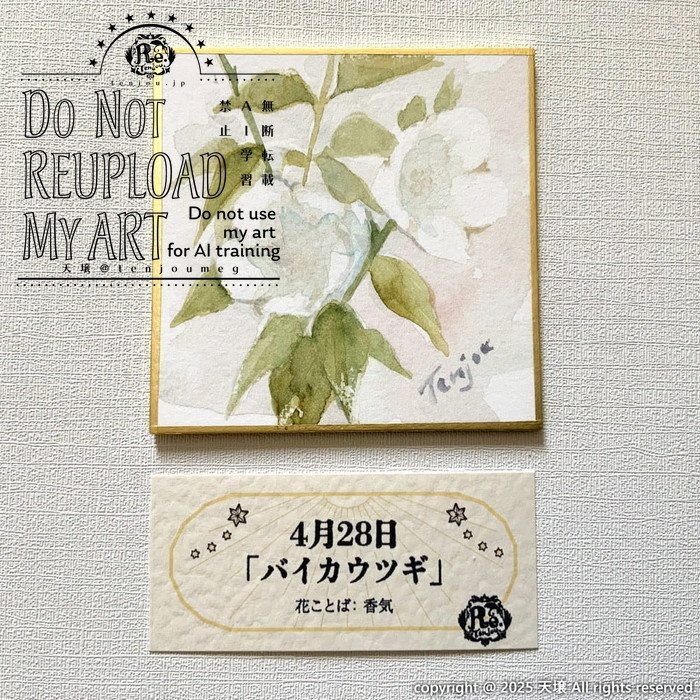 【原画】誕生花4月24日~29日