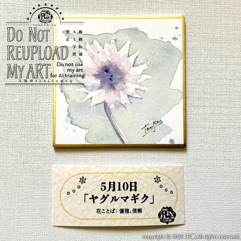 【原画】誕生花5月6日~5月11日