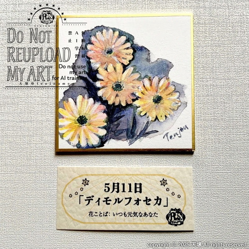 【原画】誕生花5月6日~5月11日