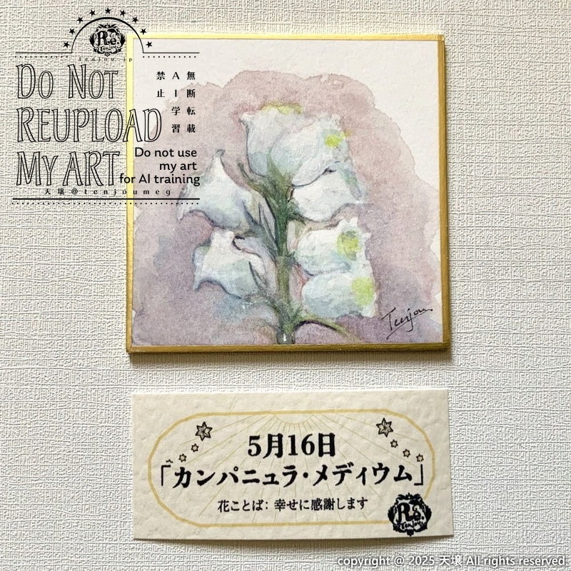 【原画】誕生花5月12日~5月17日