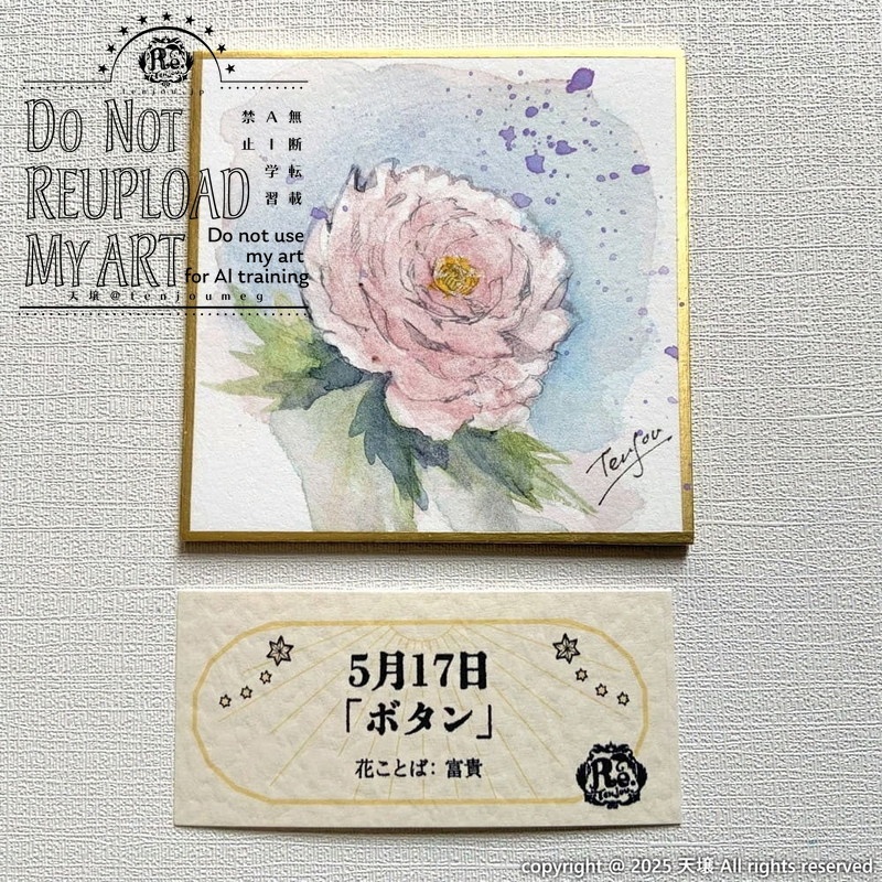 【原画】誕生花5月12日~5月17日