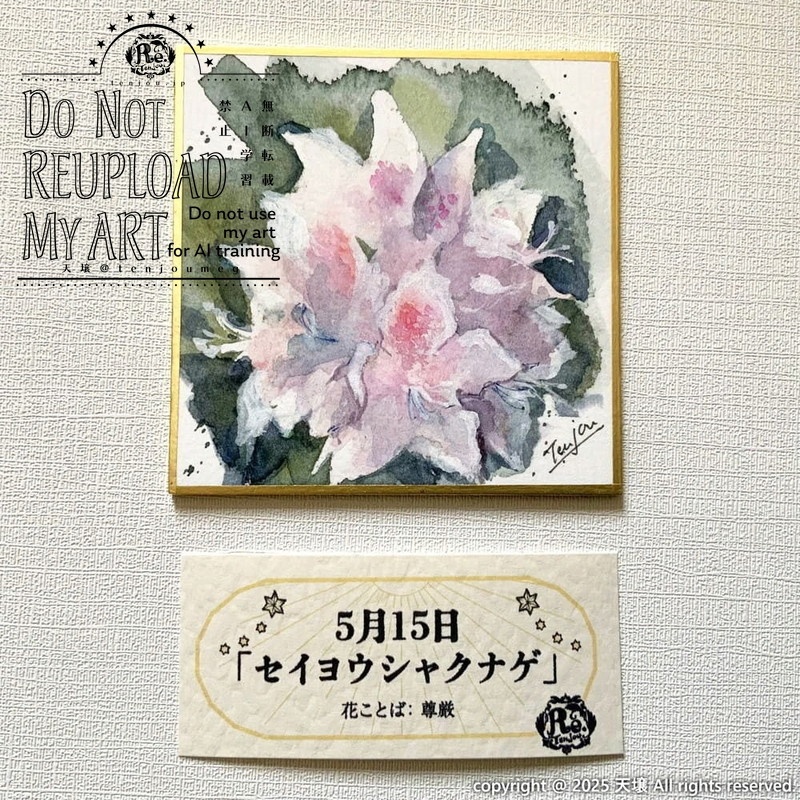 【原画】誕生花5月12日~5月17日