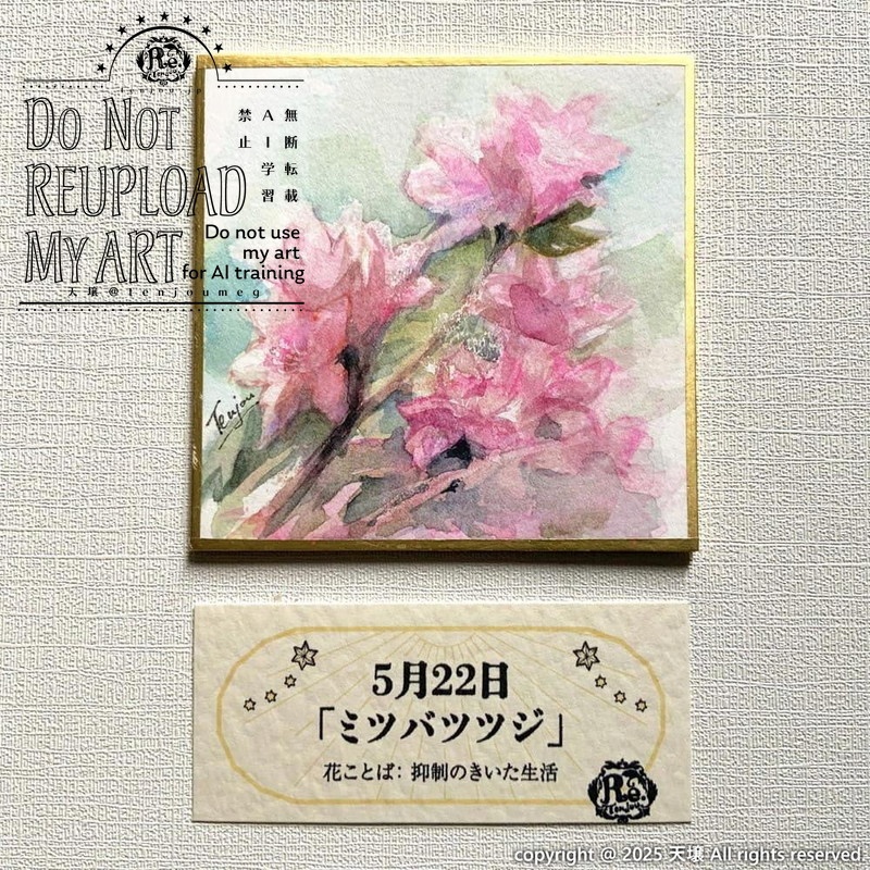 【原画】誕生花5月18日~5月23日