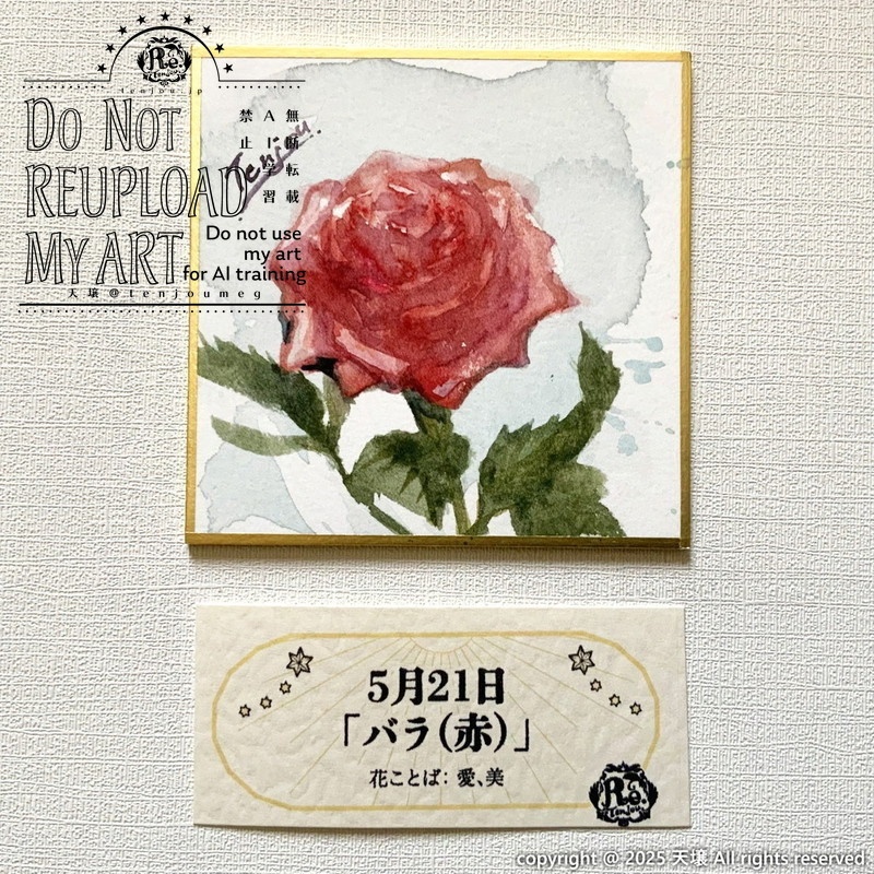 【原画】誕生花5月18日~5月23日