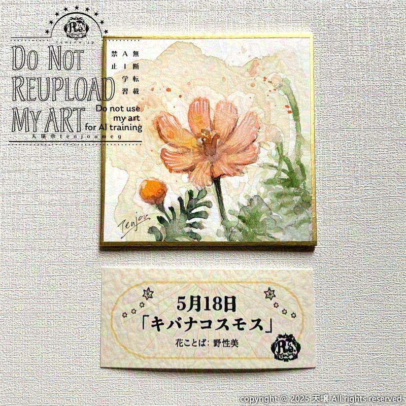 【原画】誕生花5月18日~5月23日