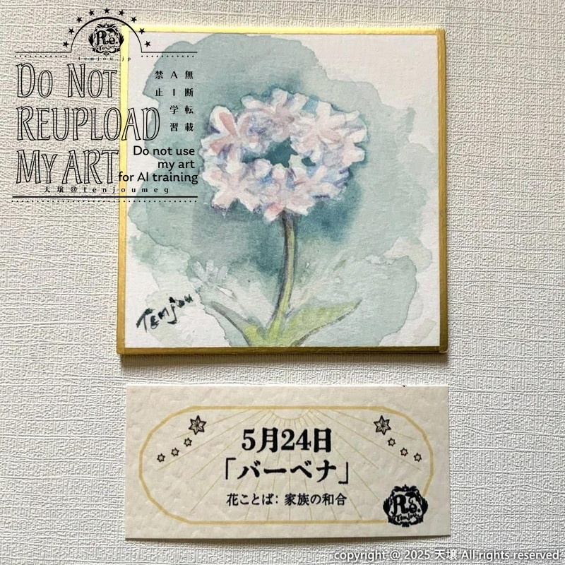 【原画】誕生花5月24日~5月29日